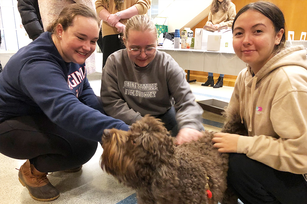 Kenny the therapy dog mingles with students at a forum in McLeod Hall